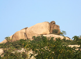 Stone Turtle