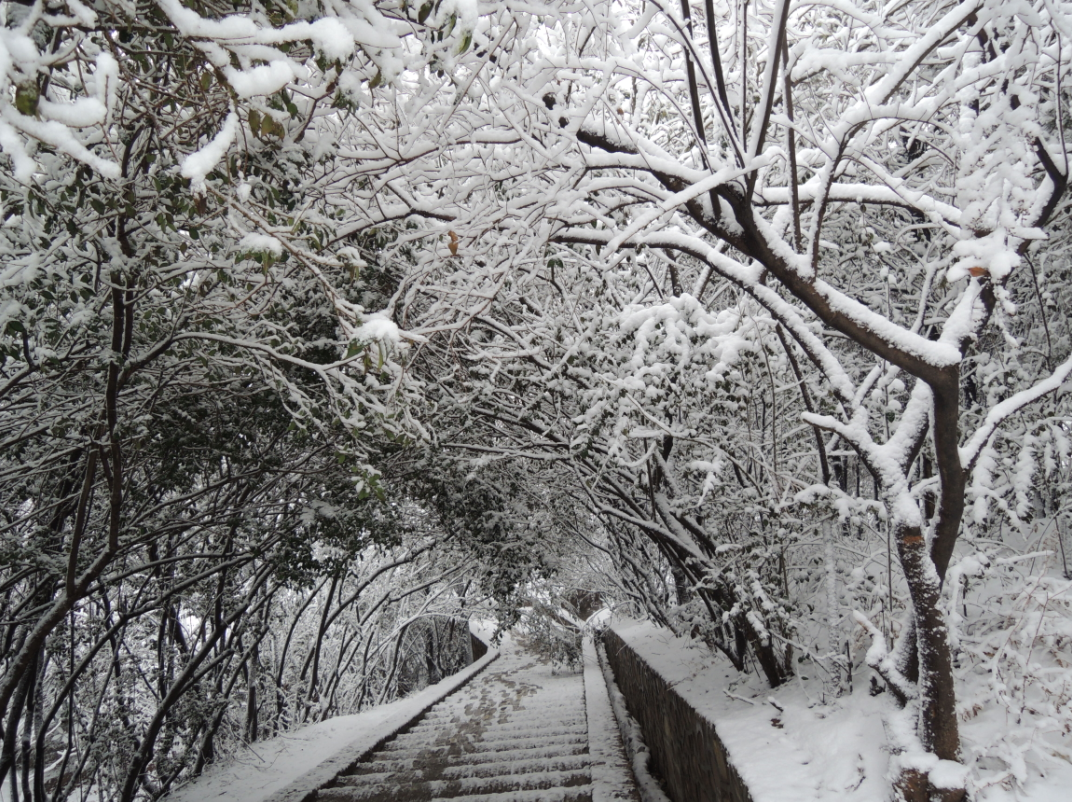 关于嵖岈山景区闭园公告