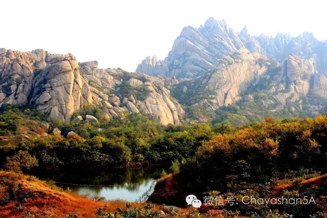 红叶百花相映红 秋染嵖岈醉“枫”情