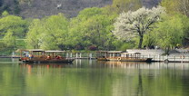 与花相遇，与山重逢，清明踏青正当时！